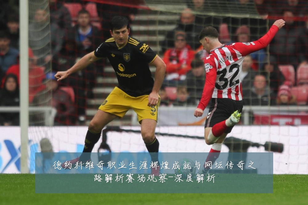德约科维奇职业生涯辉煌成就与网坛传奇之路解析赛场观察-深度解析